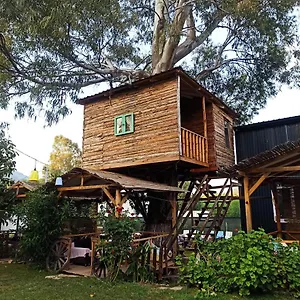 Oda ve Kahvaltı Daidala Life 